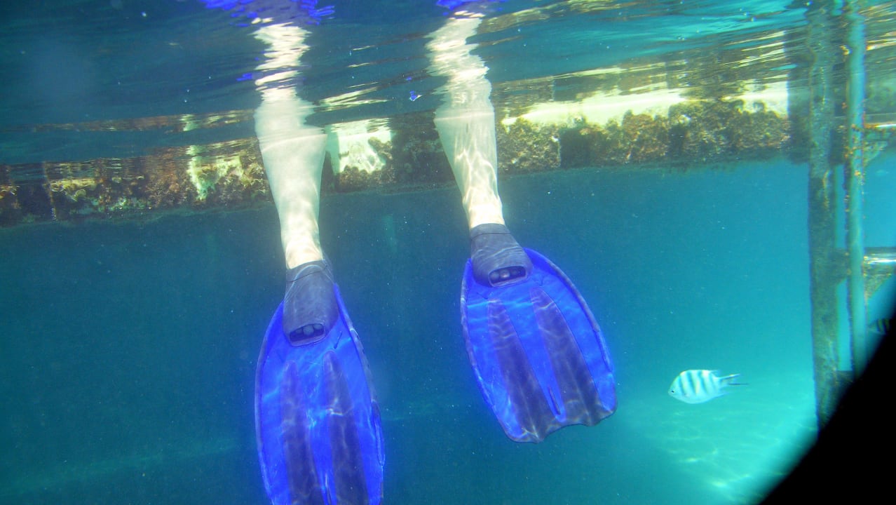 Am Steeg Cleopatra Luxury Resort Makadi Bay