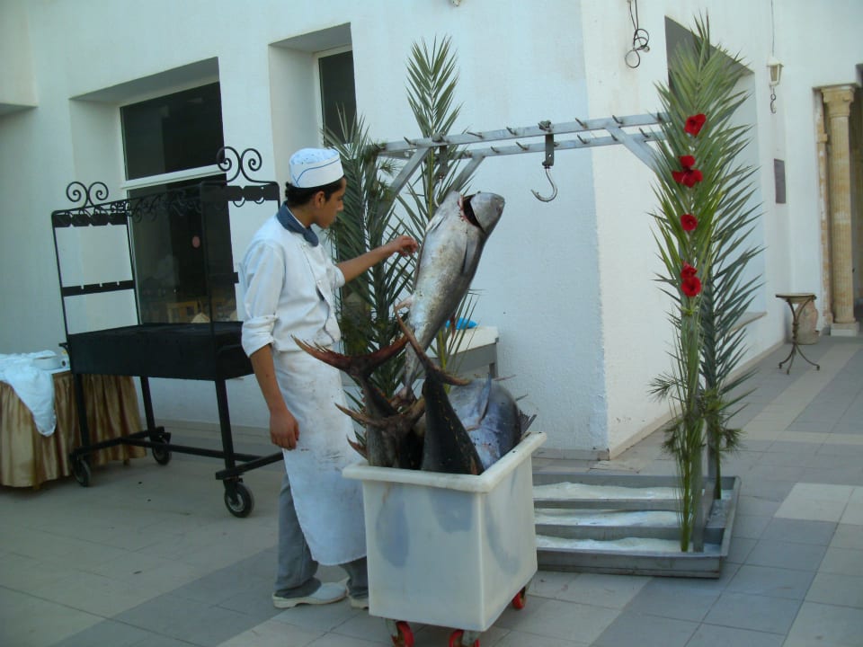 Gegrillter Thunfisch Hotel El Mouradi Djerba Menzel
