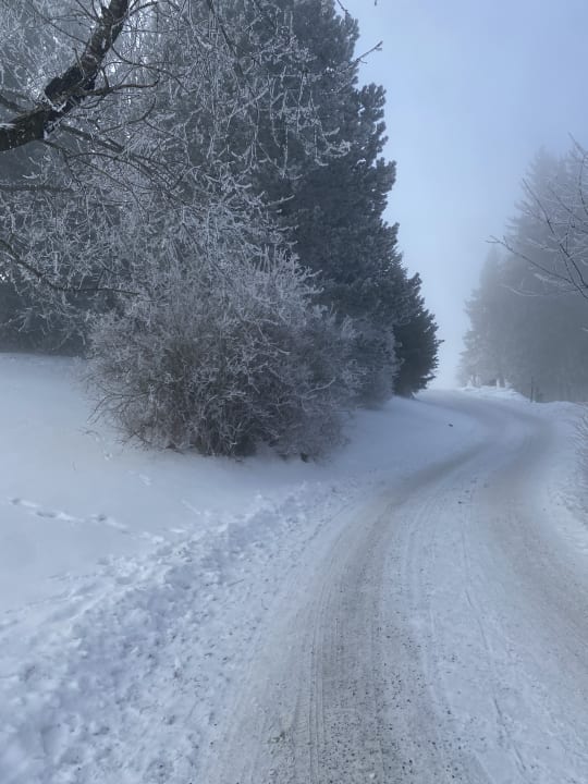 Ausblick Gasthof Unterberger