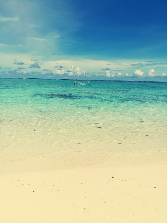 Strand Summer Island Maldives
