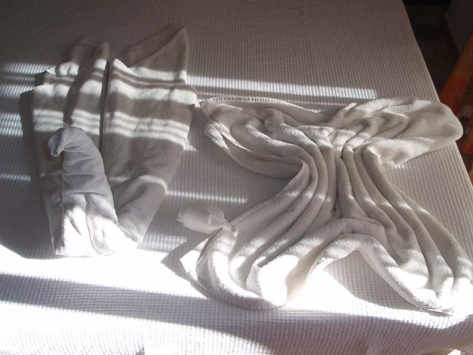 Schwan & Schmetterling Semt Luna Beach Hotel