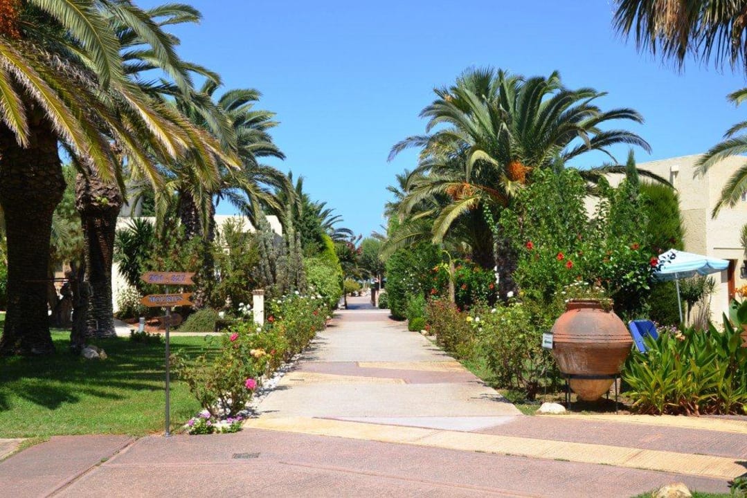 Garten Phãea Cretan Malia