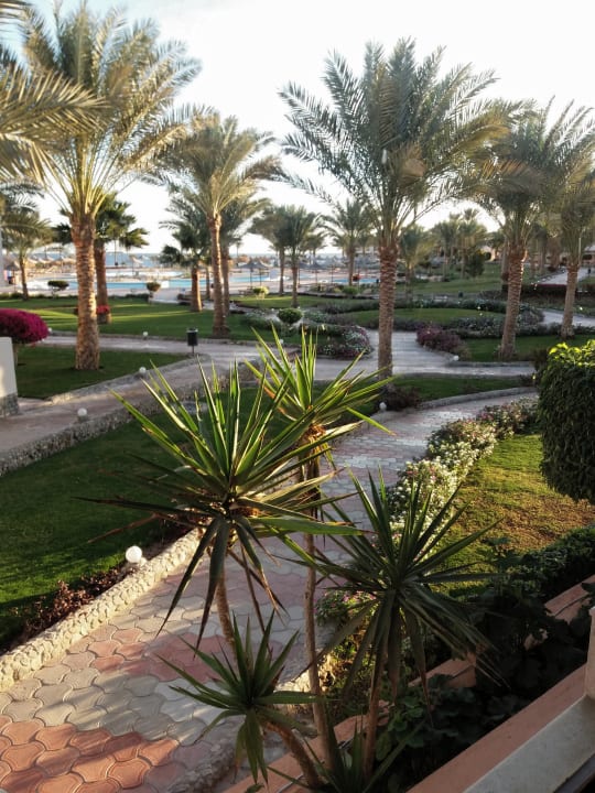 Gartenanlage Three Corners Sea Beach Resort