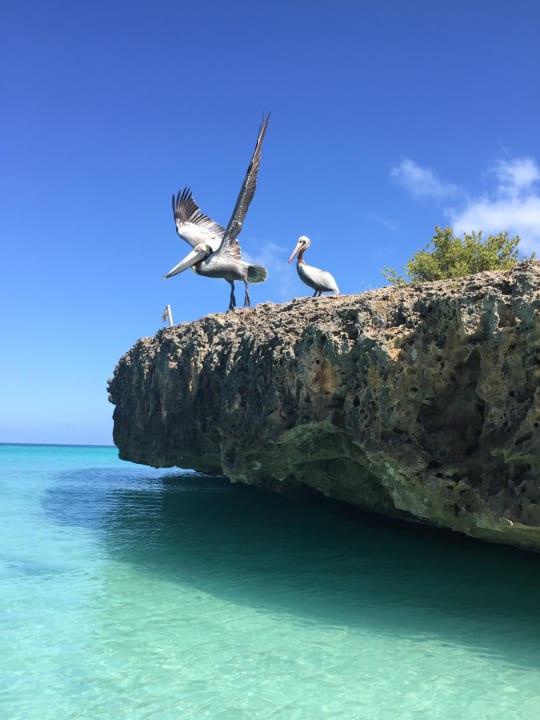 Strand Sirenis Tropical Varadero