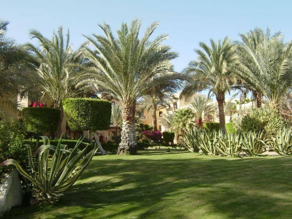 Garten zwischen den Häusern Steigenberger Coraya Beach - Adults only