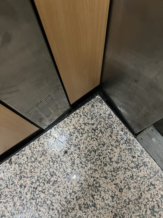 Sonstiges PALOMA Perissia