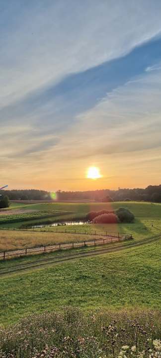 Gartenanlage Pałac i Folwark Galiny
