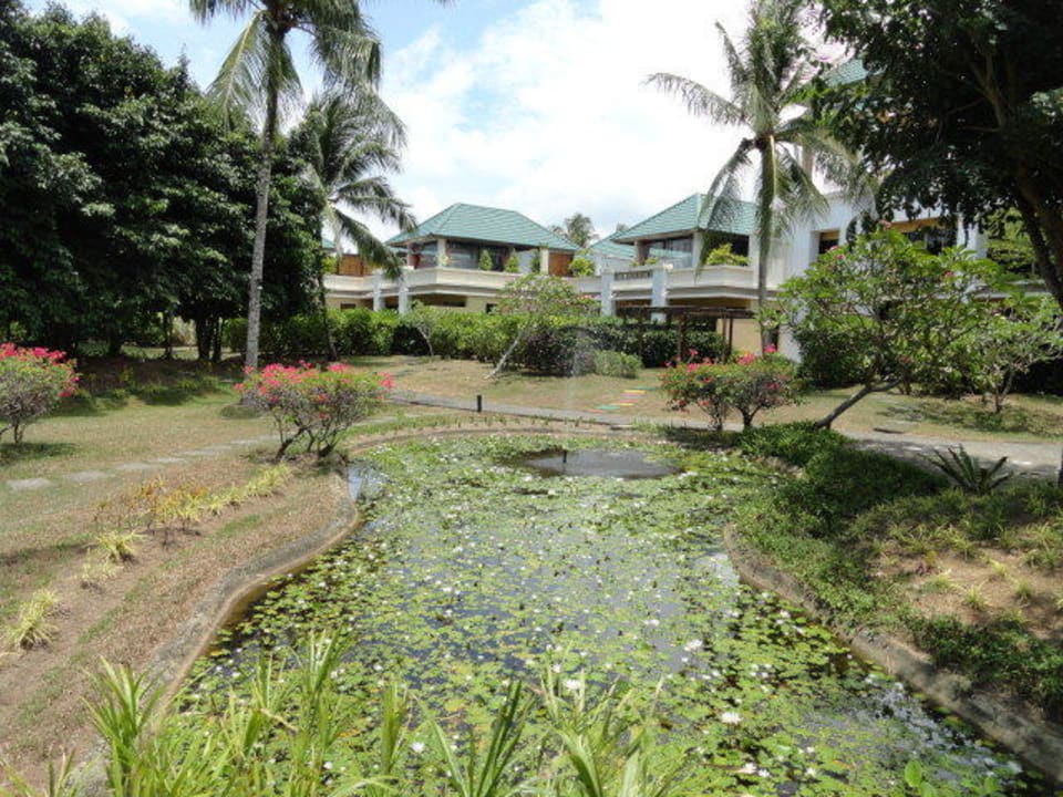 Froschteich Hotel Angsana Bintan