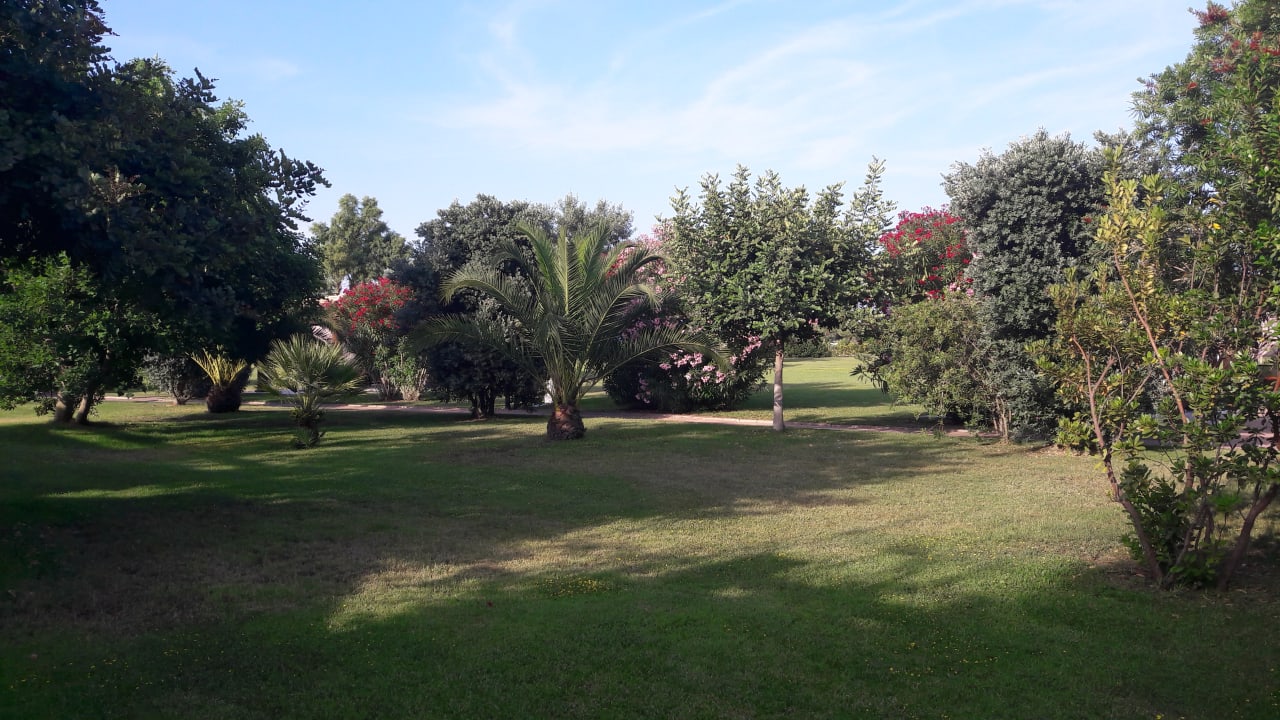 Gartenanlage Hotel Garden Beach Cala Sinzias