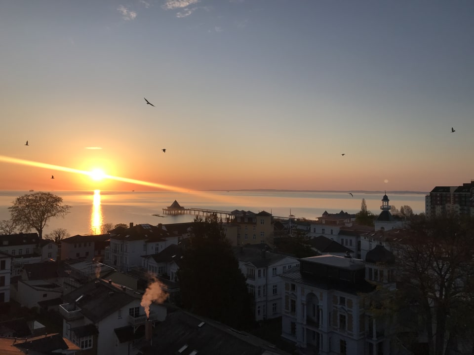 Ausblick Hotel Wald und See