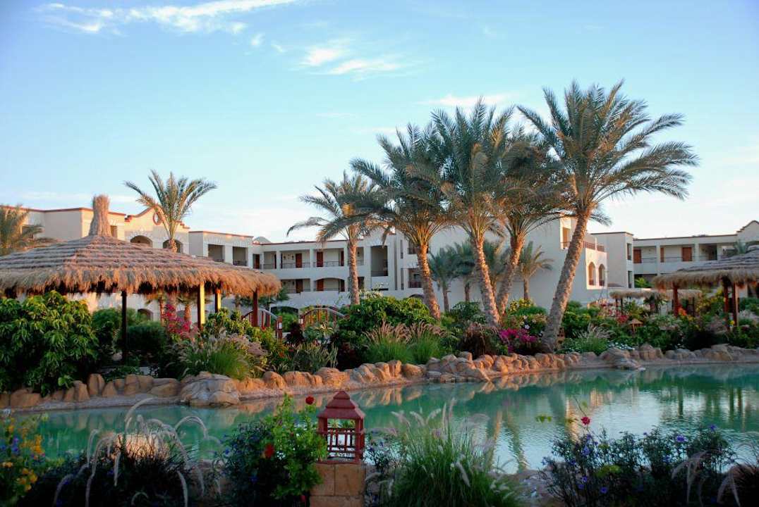 Hotelowy ogród o świcie Regency Plaza Aqua Park & Spa