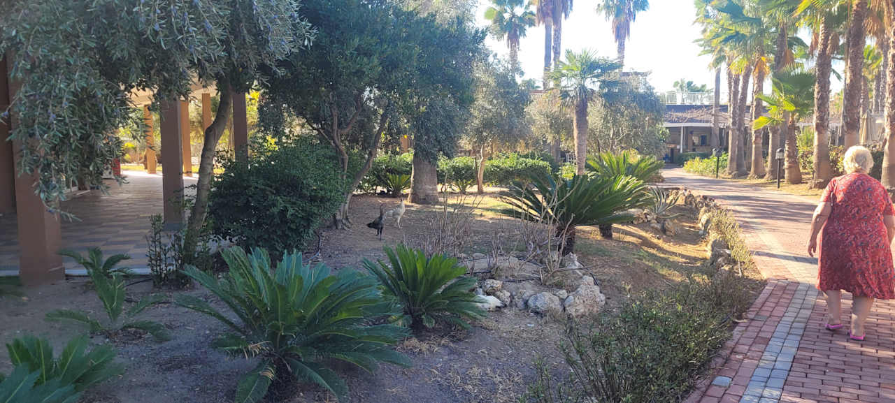 Gartenanlage Seaden Sea World Resort & Spa