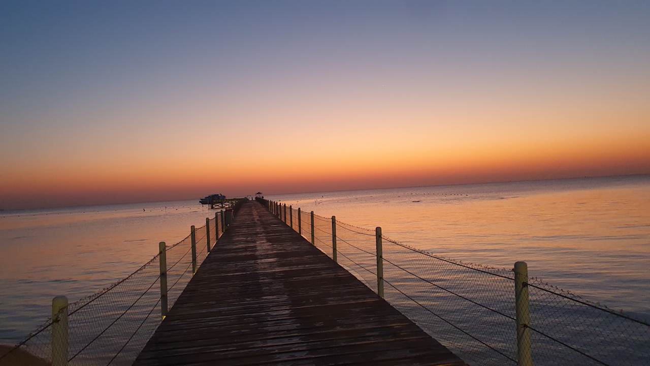 Strand Pickalbatros Palace Resort