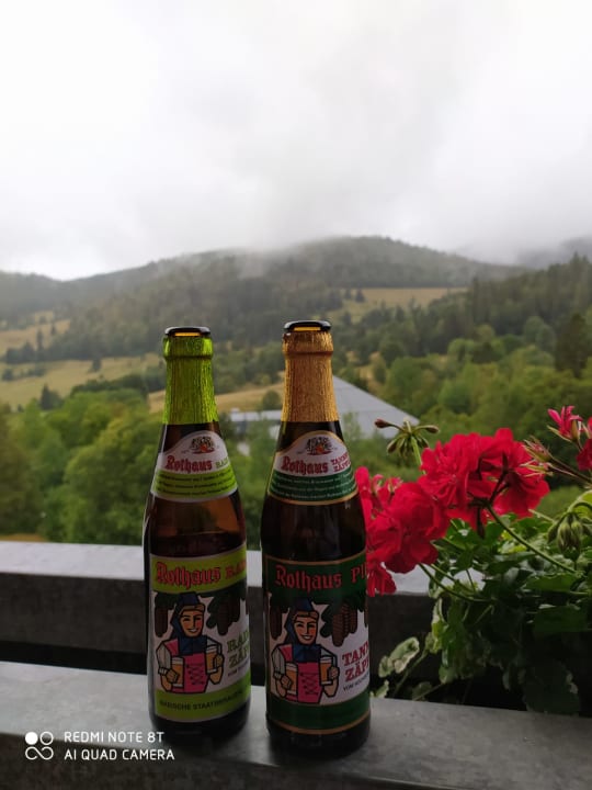 Ausblick Land-gut-Hotel Großbach