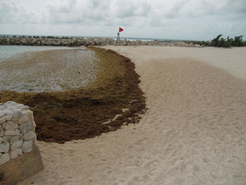 Seegrass bedeckter Strand Bahia Principe Luxury Akumal