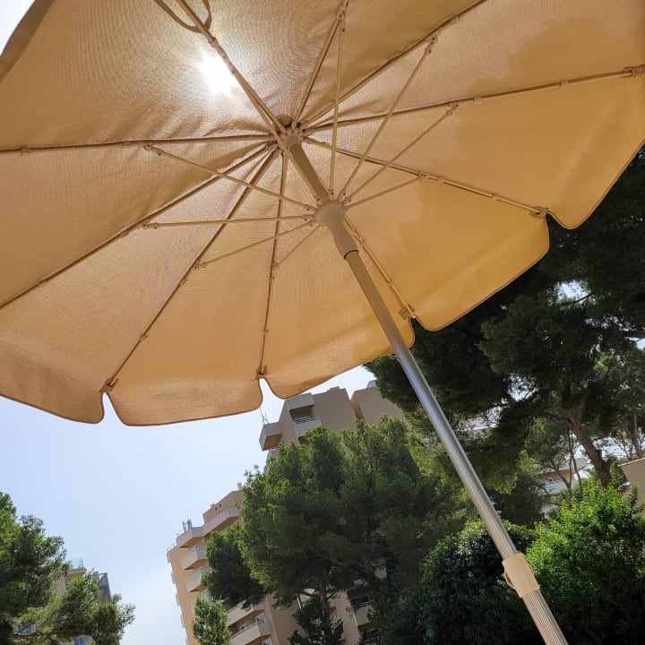 Pool Grupotel Orient