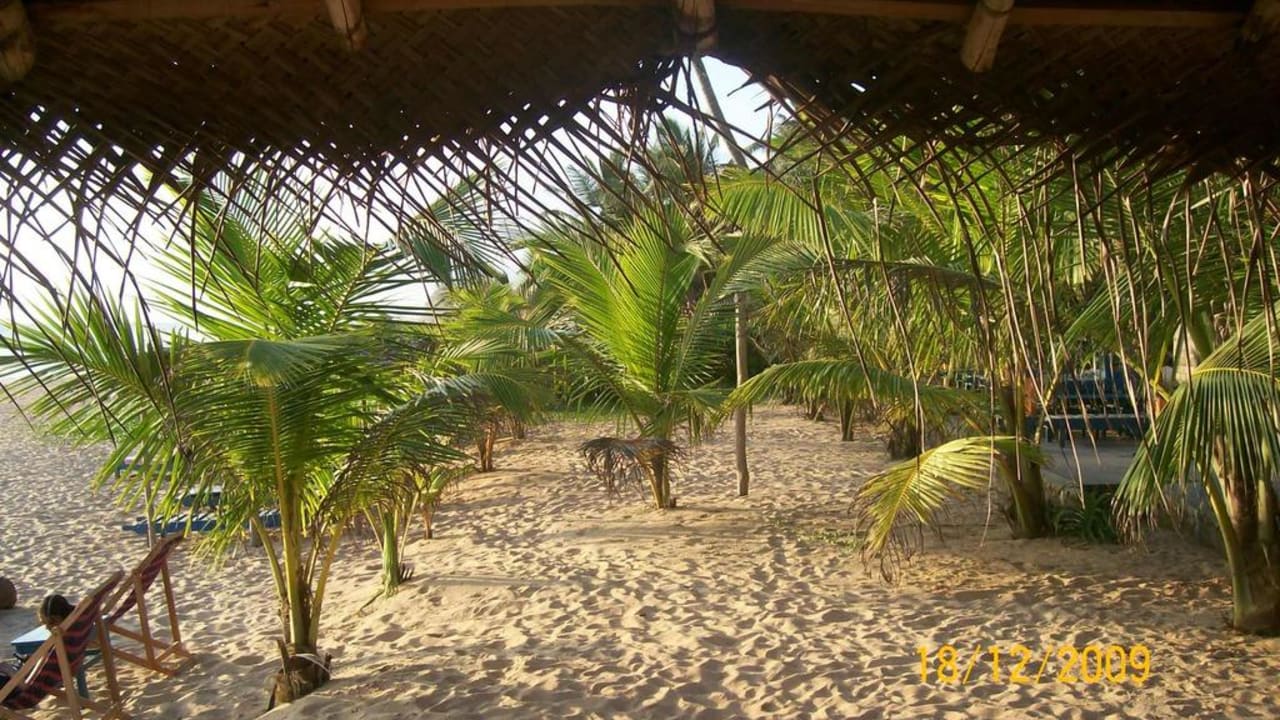 Strandbar Palm Beach Guesthouse