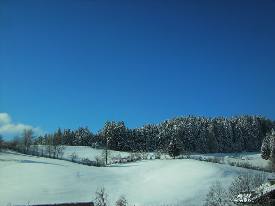 Ausblick Biobauernhof Schranbachhof