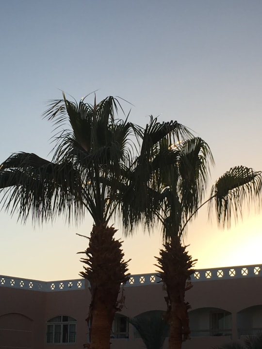 Blick vom Balkon Beach Albatros Resort