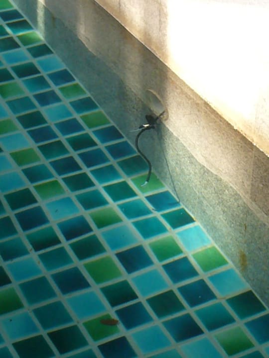 Lebensgefahr Centara Koh Chang Tropicana Resort