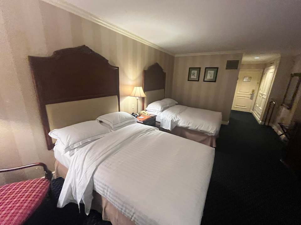 Zimmer Barceló San Salvador