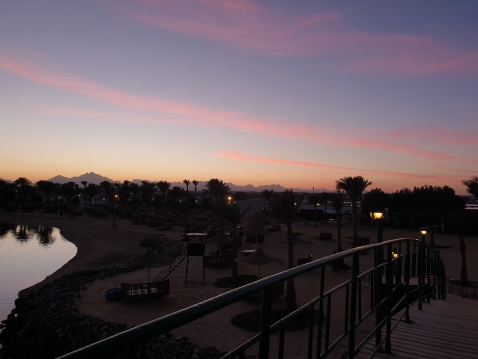 Ausblick Desert Rose