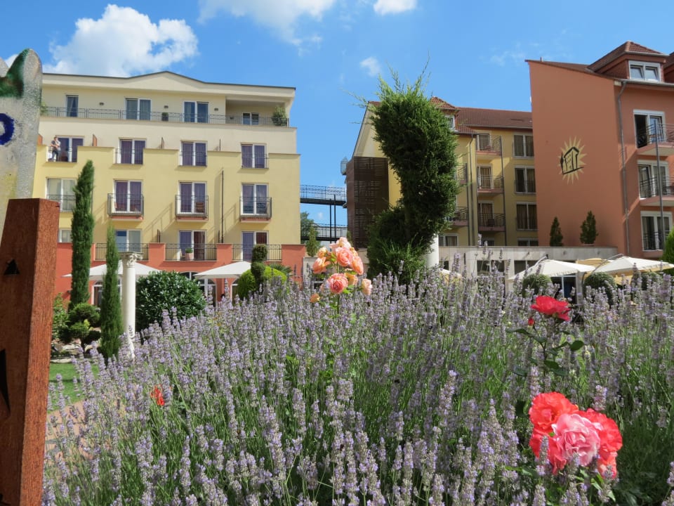 Nett gemacht und duftet schön Hotel Villa Toskana