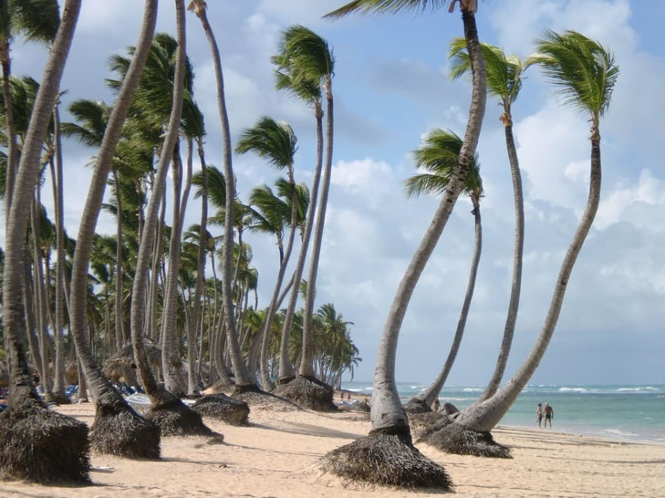 Schöner Strand Grand Sirenis Punta Cana Resort & Aquagames