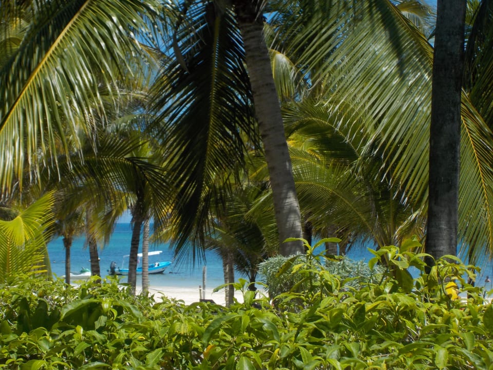 Ausblick Catalonia Playa Maroma