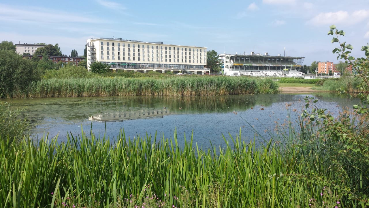 "Kleiner Teich hinter der" NH Hamburg Horner Rennbahn (Hamburg