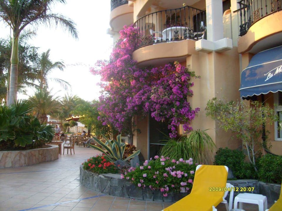 Terrasse pool beach Bull Dorado Beach & Spa