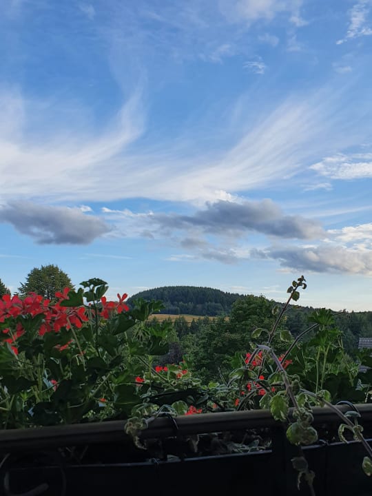 Ausblick Pension Landhaus HEIMISCH