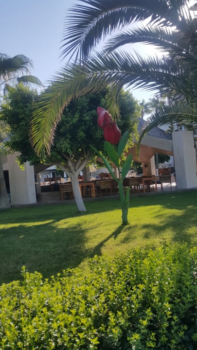 Außenansicht Nerton Hotel - Erwachsenenhotel ab 16 Jahren