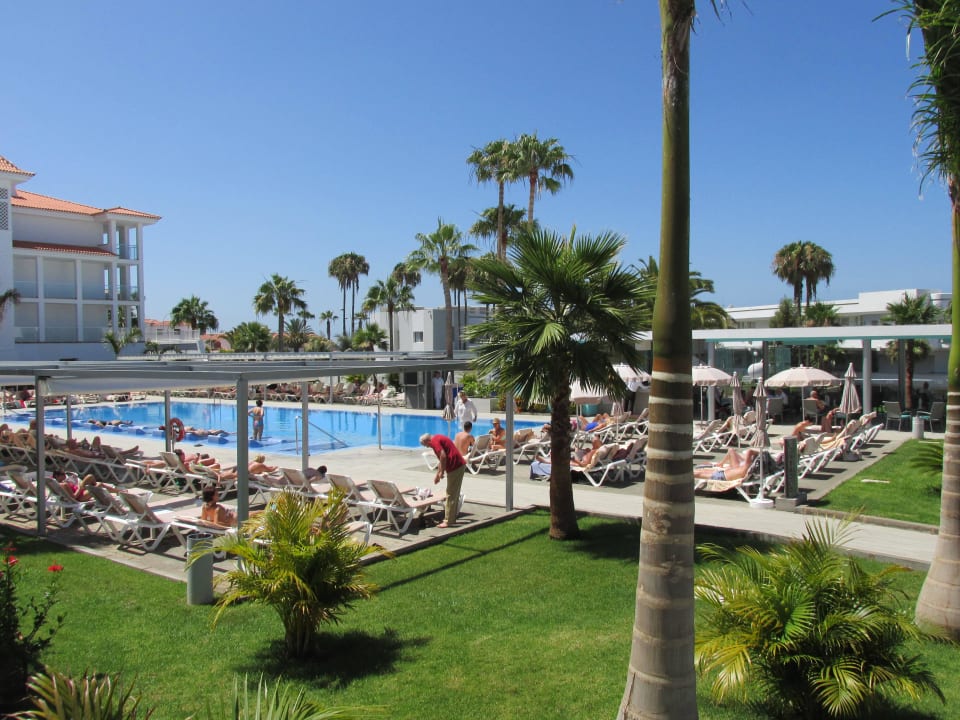 Garten mit Pool Hotel Riu Arecas - Adults only