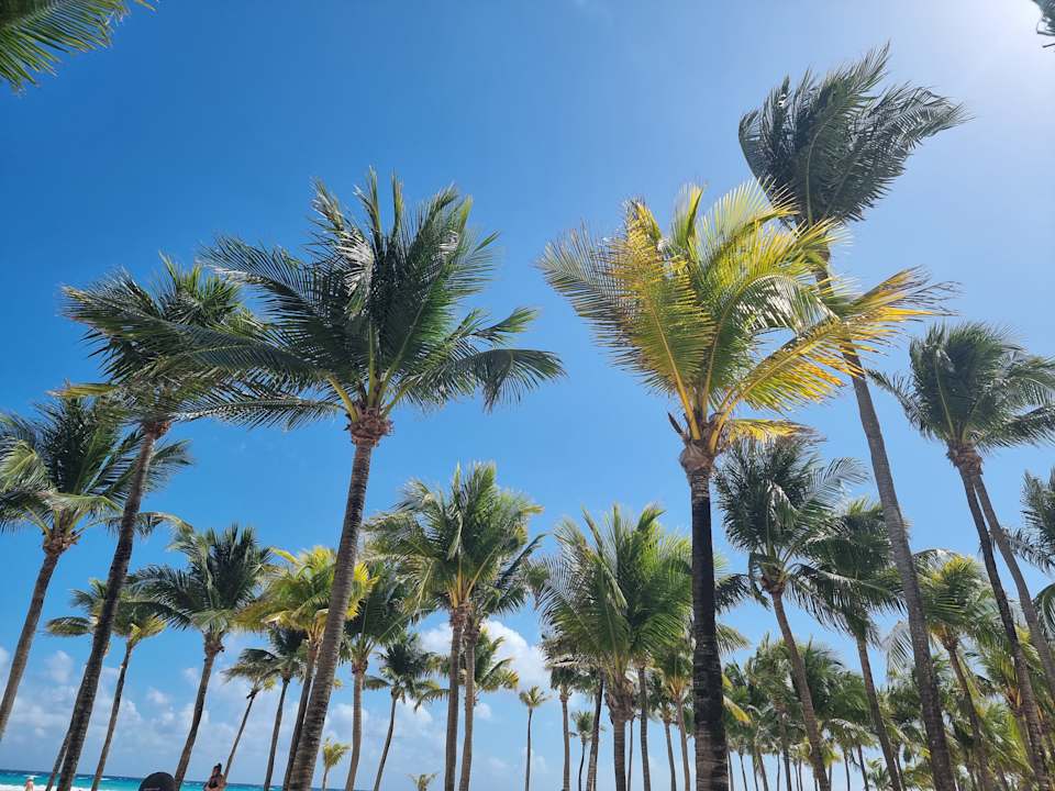 Strand Hotel Riu Palace Mexico