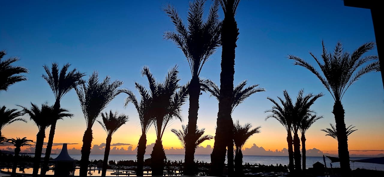 Ausblick Iberostar Waves Averroes