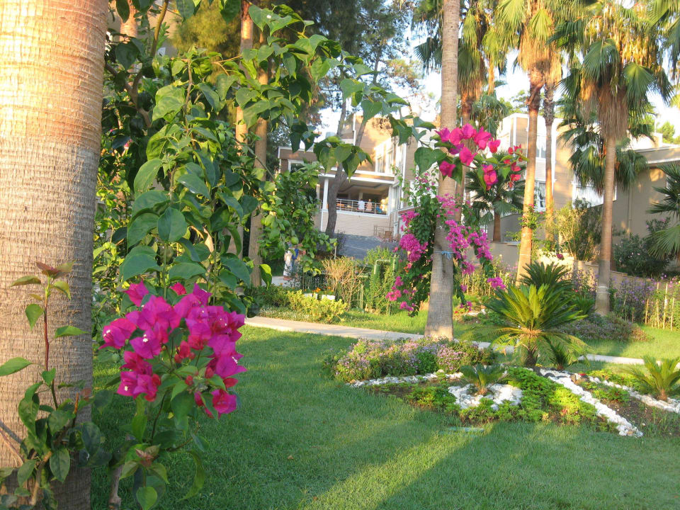Ausblick beim Pool Club Sidelya Hotel