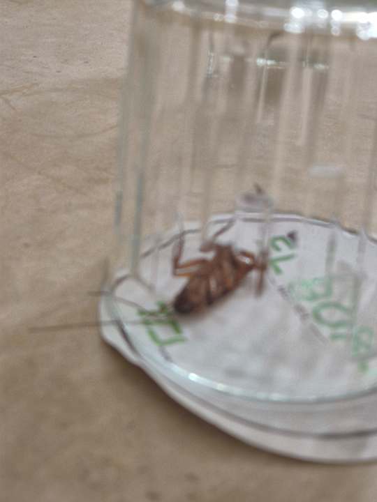 Zimmer Hotel El Borj