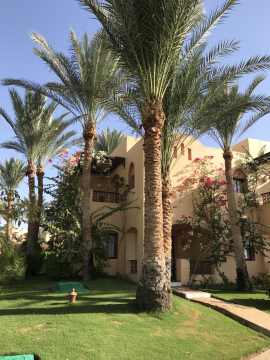 Gartenanlage Steigenberger Coraya Beach - Adults only