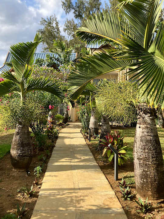 Gartenanlage Pearle Beach Resort & Spa