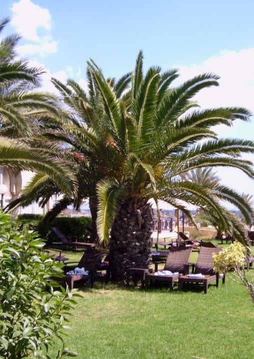 Gartenanlage Hotel Paradis Palace