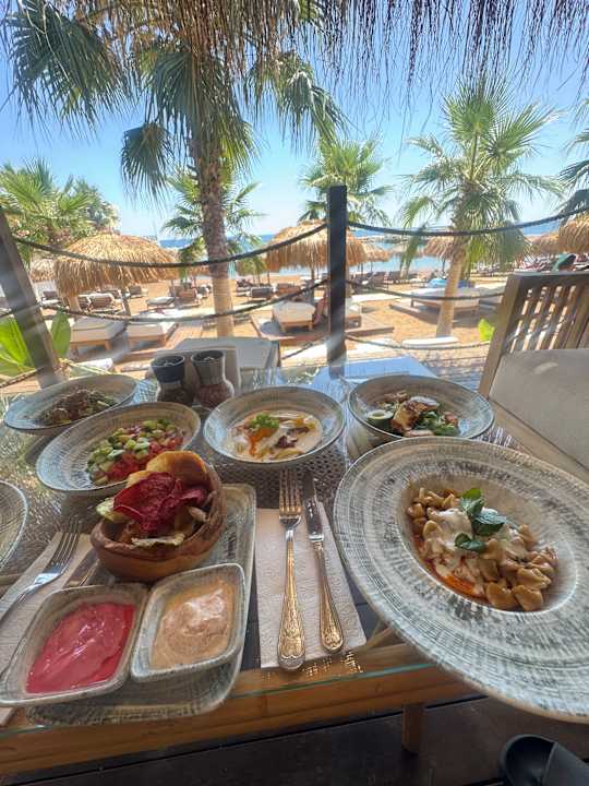 Gastro Rubi Platinum Sign