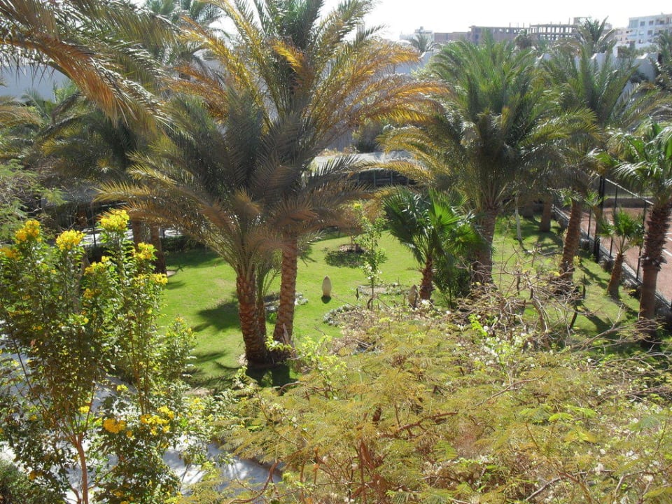 Gartenanlage mit schönem alten Baumbestand Arabia Azur Resort
