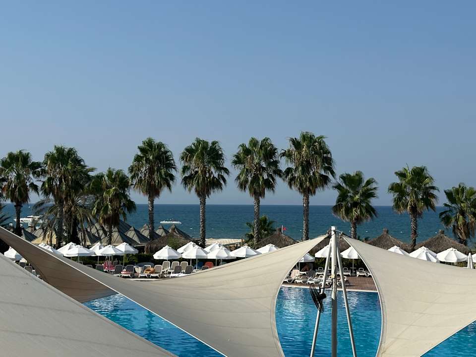 Pool Paloma Oceana