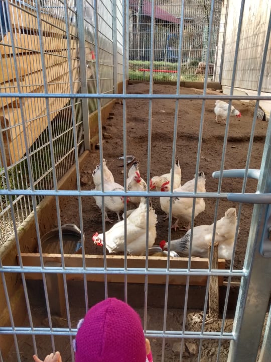 Sonstiges Bauernhof Bernhardenhof