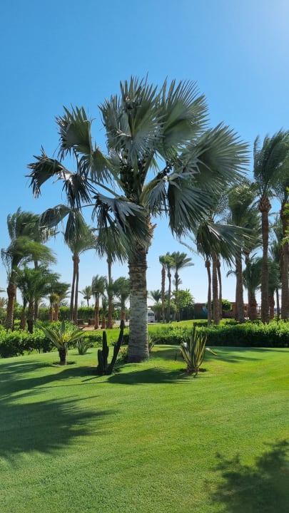 Gartenanlage Steigenberger ALDAU Beach Hotel