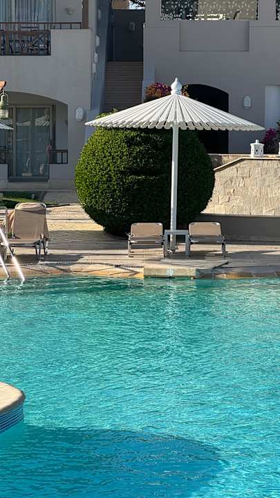 Pool Iberotel Casa Del Mar Resort