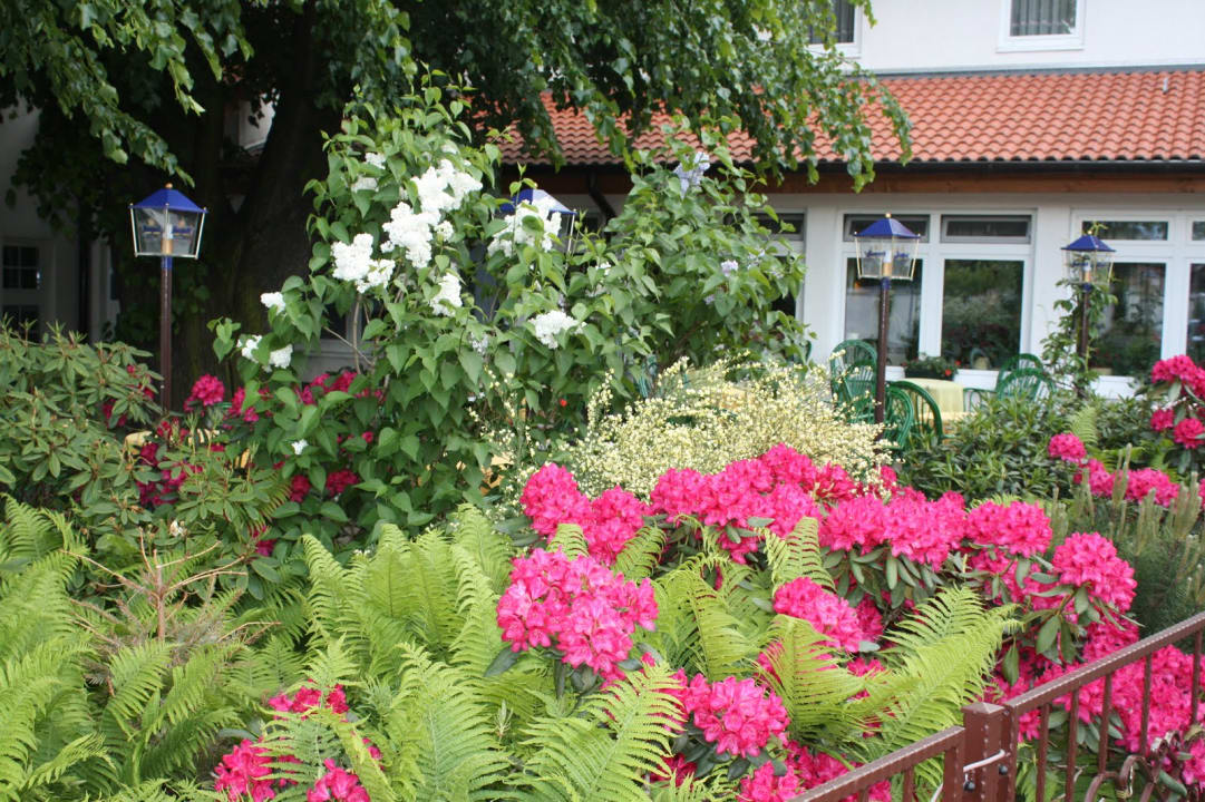 "Gartenanlage" Landgasthof Zur Goldenen Aue (Nordhausen) • HolidayCheck