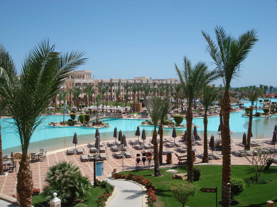 Pool Pickalbatros Palace Resort