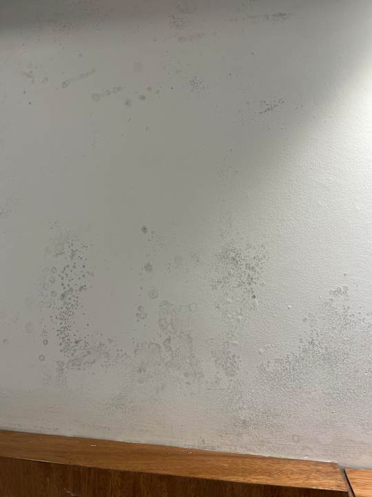 Zimmer Hotel Viva Dominicus Palace by Wyndham-All Inclusive Resort